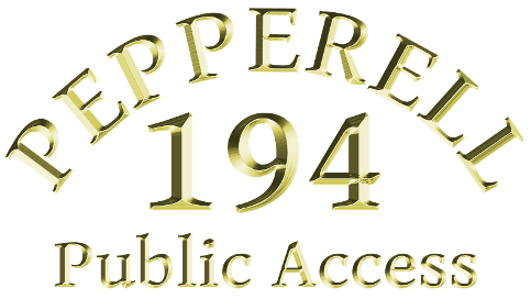 Channel 194 Logo